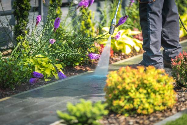 Best Brick and Stone Cleaning in Milaca, MN